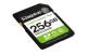 Kingston SDS3/256GB