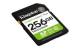 Kingston SDS3/256GB