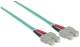 Intellinet 751100
