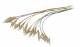Fiber optic pigtail LC 50/125u, 2m. OM2, 12-pack, colored, Synergy 21