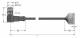 Turck WSC12T-2/TXL actuator and sensor cable PUR connection cable 6625348