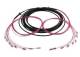 Synergy 21 S217071V2 LWL-Kabel, Trunkkabel U-DQ(ZN)BH 8G 50/125, LC/LC OM4 20 m, Ring, Synergy21