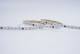 Synergy 21 S21-LED-005F-02400264 LED Flex Strip 5050 - 84 RGB Pixel DC24V SM16703 IP20