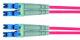 Telegärtner 100011388 LWL cable routing cable 2xG50/125 OM5 2.5 m 1xLC Duplex lindgrün