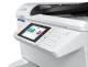 Epson C11CL31401