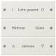 Gira 220301 Rocker set 3-gang, can be labeled, System 55 Cream