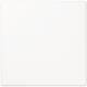 Jung LS961BWW Blind cover LS 961B WW (LS990) alpine white with support ring