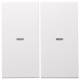 Berker 80960399 Wippe 2fach mit klarer Linse S.1/B.3/B.7 polarws matt