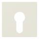 Jung A525PL Cover plate for key switch 525 PL A central white plate