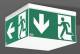 RZB 672299.002 emergency light ceiling light Signcube LED/4x1.8W
