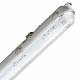 Muellerlicht ETT-1451620