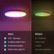 YEELIGHT YLXDD-0266