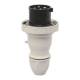 Walther-Werke 239407 plug 32A 4P 500V 7h IP67 with trumpet cable gland