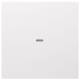 Berker 80960299 Wippe 1fach mit klarer Linse S.1/B.3/B.7 polarws matt