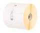 Zebra Z-Perform 1000D - uncoated permanent adhesive paper labels - 18600 label(s)