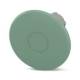 Phoenix Contact 1108466 PHT22-MBL60-GN push button