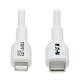 Eaton Power Quality SAFE-IT USB-C TO LIGHTNING