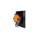 Shelly Shelly_WS_4_s