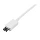 Startech.com USBPAUB1MW