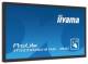 Iiyama TF3239MSC-B1AG-STD