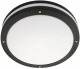 SG Leuchten 644822 SG SGLI EVJE 19W LED 4000K, schwa