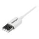 Startech.com USBPAUB2MW