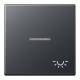 JUNG A590BFKO5LANM rocker m.Symbol light KO Serie A anthracite matt