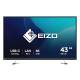 TFT 108 cm ( 42,5 Zoll ) EIZO FlexScan EcoView 4K UHD EV4340X-BK Monitor schwarz, IPS-Panel
