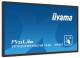 Iiyama TF4339MSC-B1AG
