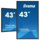 Iiyama TF4339MSC-B1AG B-WARE 109,2 cm ( 43 Zoll )