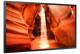 Samsung LH55OMNESGBXEN