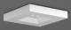 RZB 672282.002.04 Notleuchte Deckenleuchte LED/4W 198x198x38,8h