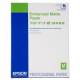 Epson C13S042095