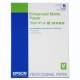 Epson C13S042095