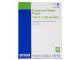 Epson C13S042095