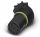 Phoenix Contact 1557808 Phoenix SACC-CI-M12FS-8CON-L180-THR Einbausteckverbinder
