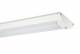 Ridi Leuchten 0622207//420 RIDI SURVIVOR069NDWS840S0250-RF surface-mounted light white, IP65, 2x LED-M 8W