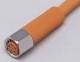 Ifm Electronic EVT136 IFM Kabeldose gerade M8 4p AC/DC silikonfrei Kontakte vergoldet