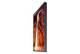 Samsung LH55OMNDPGB/EN
