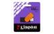 Kingston DTXS/256GB