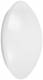 Osram 4058075617865 Ledvance SURFACE CIRCULAR 250 13W 830 IP44 LED wall/ceiling light 3000K 920lm