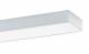 Ridi Leuchten 0660595 RIDI IHLS-L 280/1870-840 OS-DA surface-mounted luminaire with higher protection class, IP 65