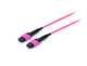 Equip 25555617 Patchkabel MTP->MTP 10,00 m Multimode OM4 violett