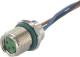 Murrelektronik 7000-08585-9690100 M8 Buchse Flansch A-kodiert HWM PP-Litzen 4x0,25 1m