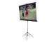 Elite Screens T113NWS1