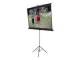 Elite Screens T113NWS1
