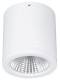 Lts Licht und Leuchten 652454 LTS BTNM 101.30.55 weiss Aufbaudownlight BTNM 101.30.55 weiss