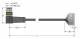 Turck WSS12T-5/TEL actuator and sensor cable PVC connection cable 6626915
