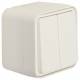 Berker 50753512 Serientaster 2S AP gem.Eingangsklemme W.1 polarweiss
