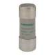 Ferraz Shawmut Y217693